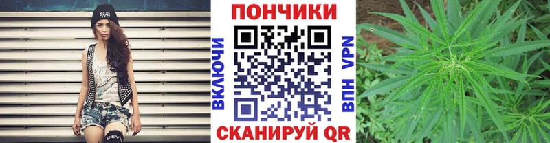 Купить закладки  Красный Холм  Шишки марихуана MAZAR 